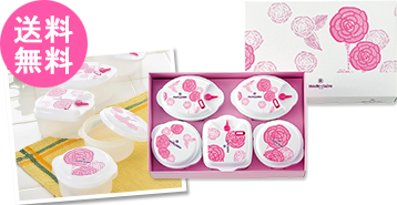 マリ・クレール　電子レンジ容器5pc