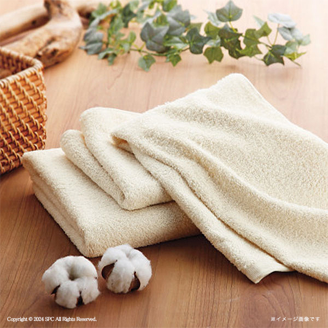 タオルセット　No.50　割引き商品