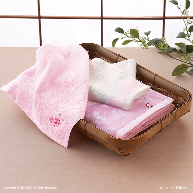 今治×泉州桜づくし　タオルセット　No.50　割引き商品