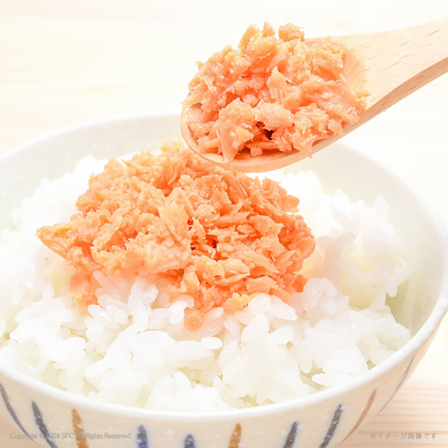 【送料無料】 海の恵詰合せ　No.15