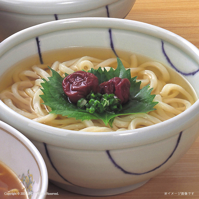 讃岐の麺々　四季の味工房　No.20　割引き商品