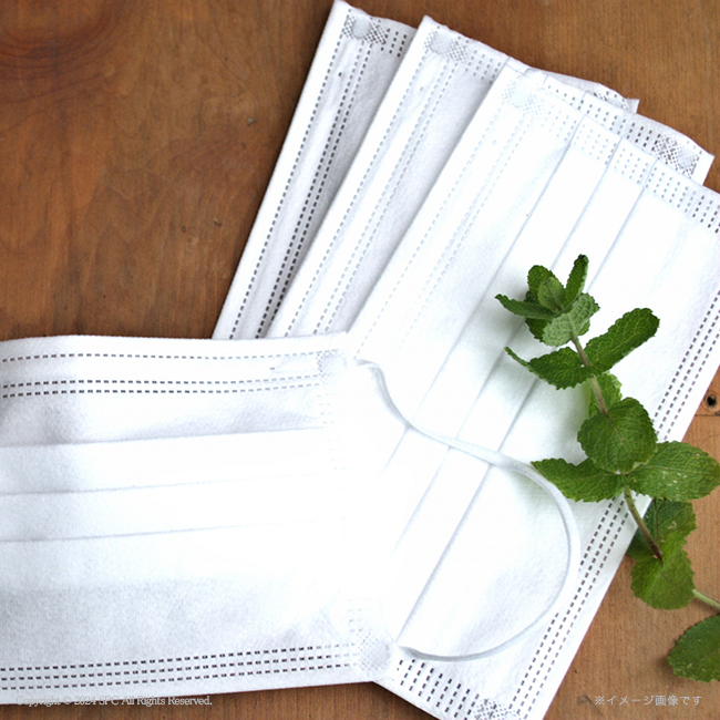 バラエティセット　No.100　割引き商品