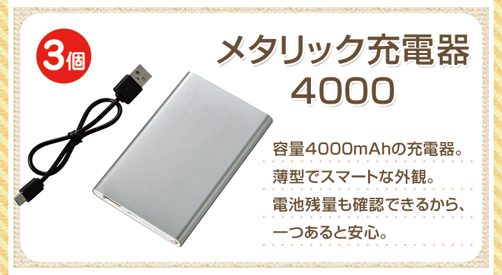 メタリック充電器 4000