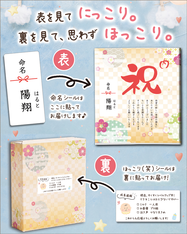 【送料無料】 カタログギフト エスプリ カジュアル＆坂井宏行シェフ監修 チョコレートパウンドケーキBセット