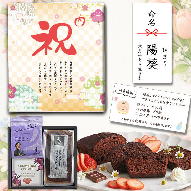 【送料無料】 坂井宏行シェフ監修　チョコレートパウンドケーキBセット