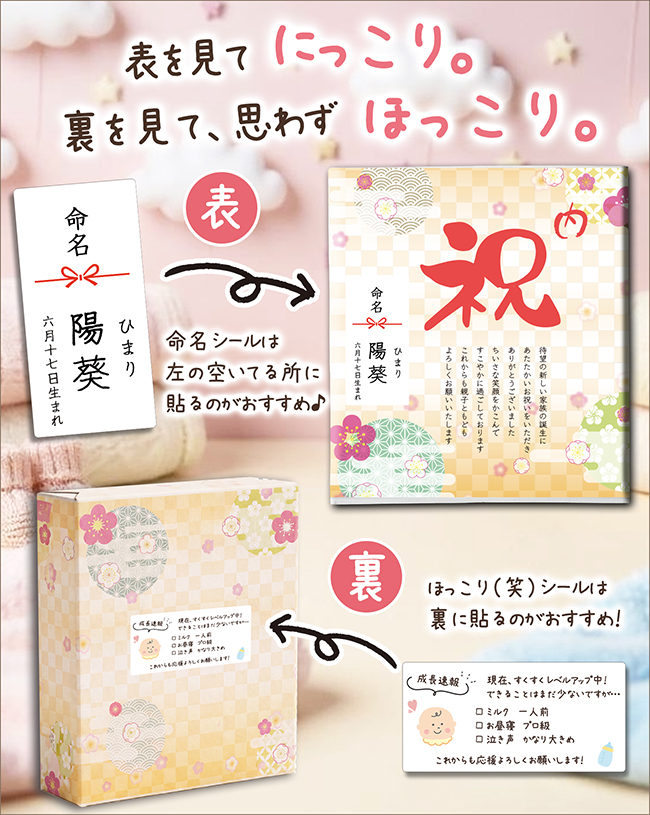 【送料無料】 坂井宏行シェフ監修　チョコレートパウンドケーキBセット