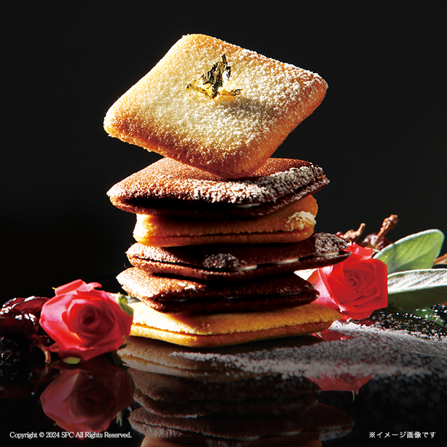 Tresore　Dolce　　フルーツカラーバウム＆ラングドシャ　No.36｜特選ギフト｜