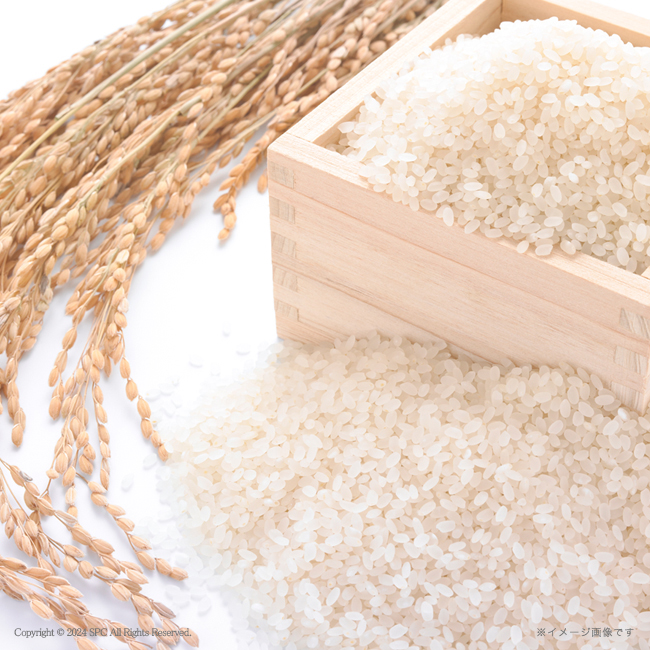 【送料無料】 千莉菴　からだにやさしさ＋　国産フリーズドライ　ほうおうスープ　「金賞健康米」セット　No.210