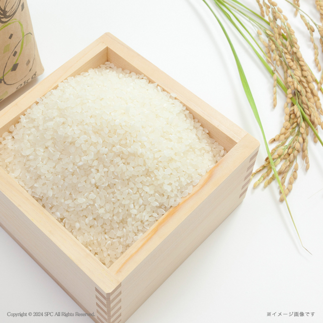 【送料無料】 金賞銀賞　食べくらべ海苔GIFT　No.130