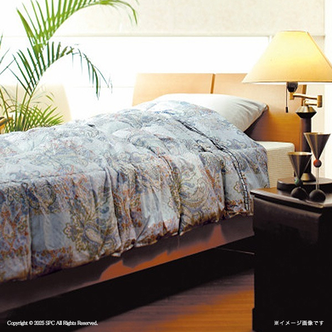 【送料無料】 ヴァレンティノ・クリスティー　ウォッシャブル羽毛肌掛けふとん　No.150