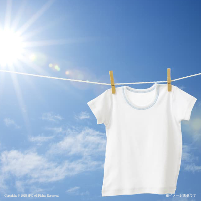 【送料無料】 ギフト工房　アリエール抗菌除菌ギフト　No.40