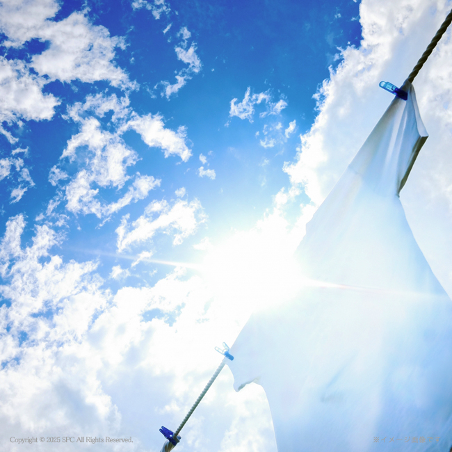 【送料無料】 ギフト工房　抗菌消臭EXギフト　No.40