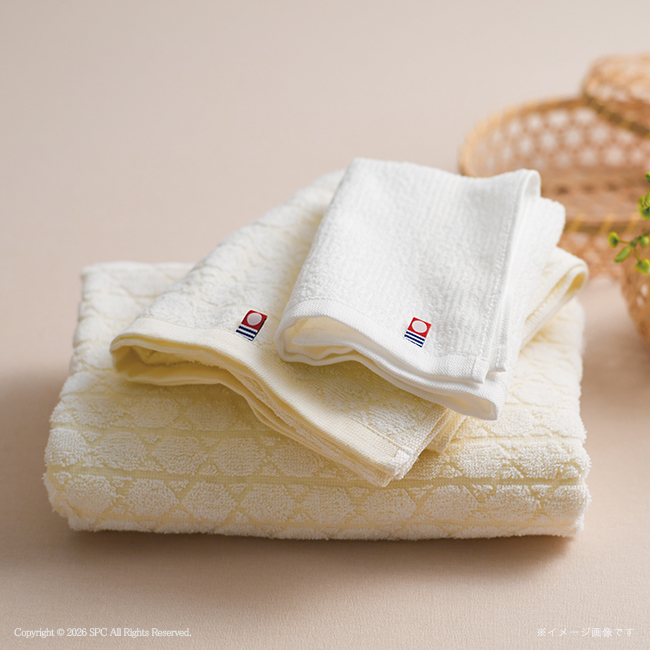 伊布季〈IBUKI〉　今治　バスタオル2P・フェイスタオル・ハンドタオルセット　No.50　割引き商品