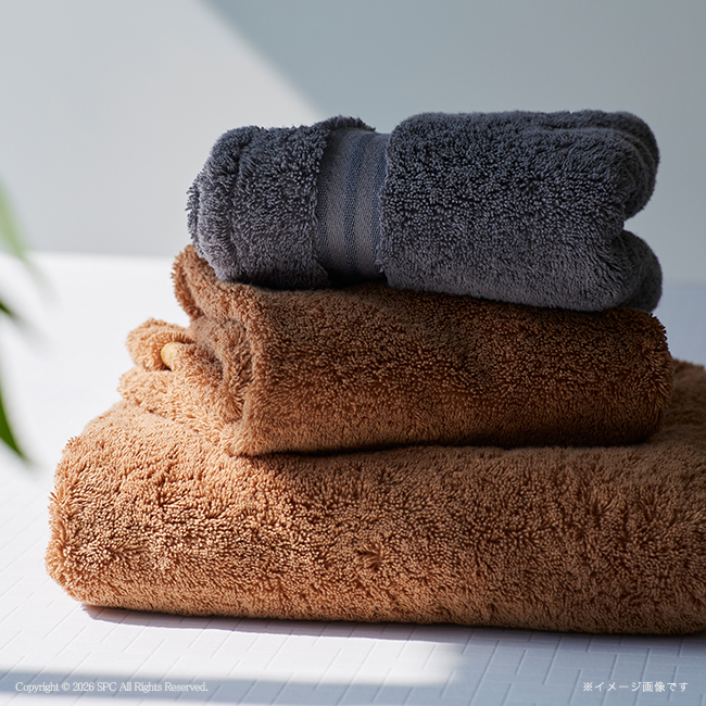 TEDDY　ASH〈テディアッシュ〉　ハンドタオル2Pセット　No.10｜特選ギフト｜