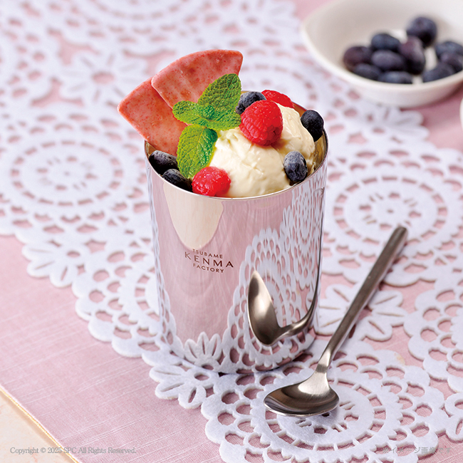 燕研磨ファクトリー　ステンレスダブルカップ260ml　2P　No.100　割引き商品